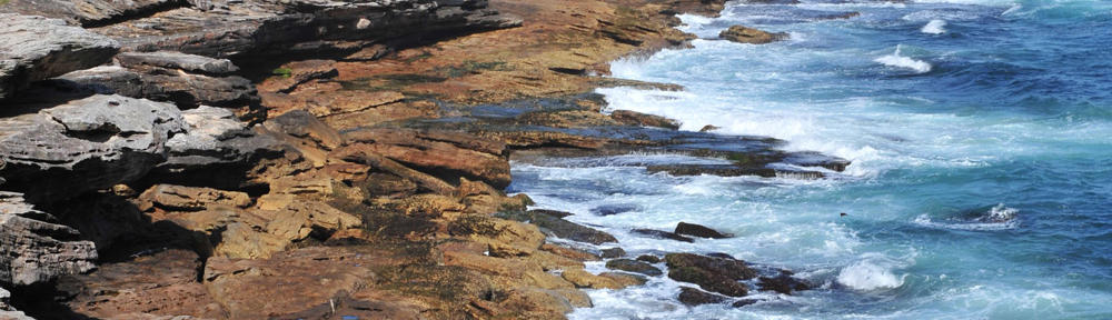 :: Evalúa Soluciones Ambientales :: Tenerife – Gran Canaria